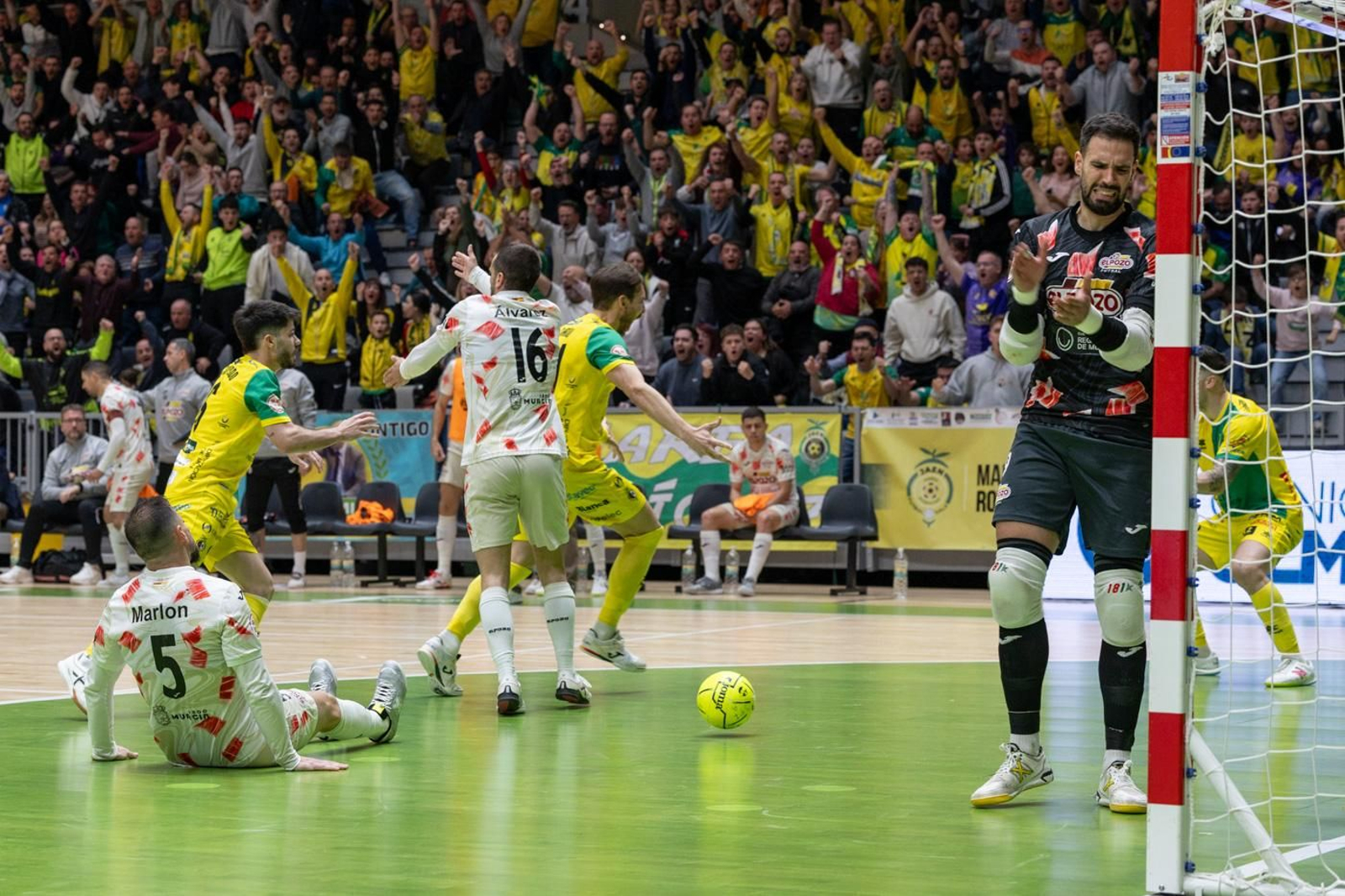 Las mejores fotos del empate entre Jaén Paraíso Interior FS y ElPozo Murcia