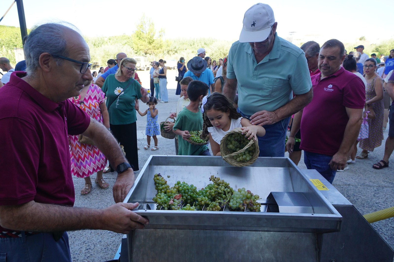 Vendimia infantil de Montilla