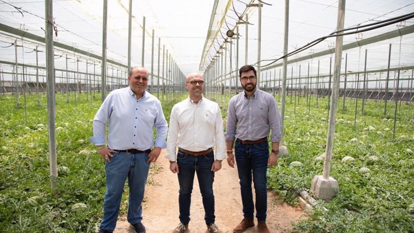 Jorge Buxadé, candidato al Parlamento Europeo, en un invernadero.