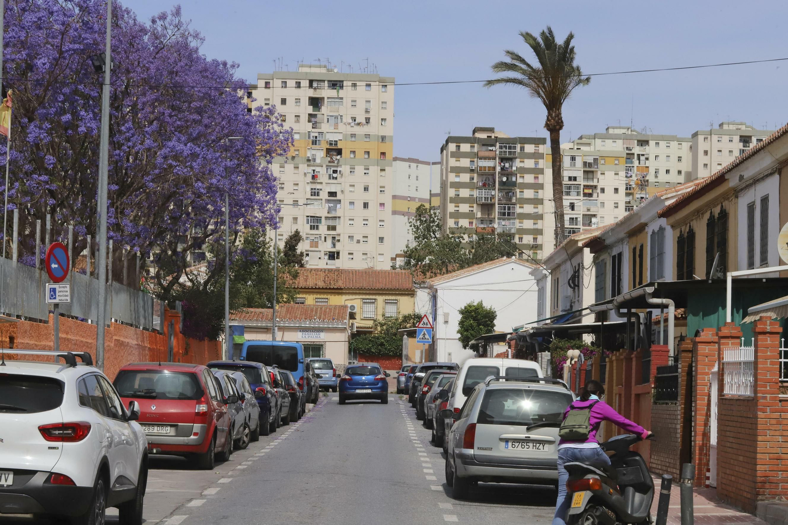 Las fotos del distrito Palma-Palmilla