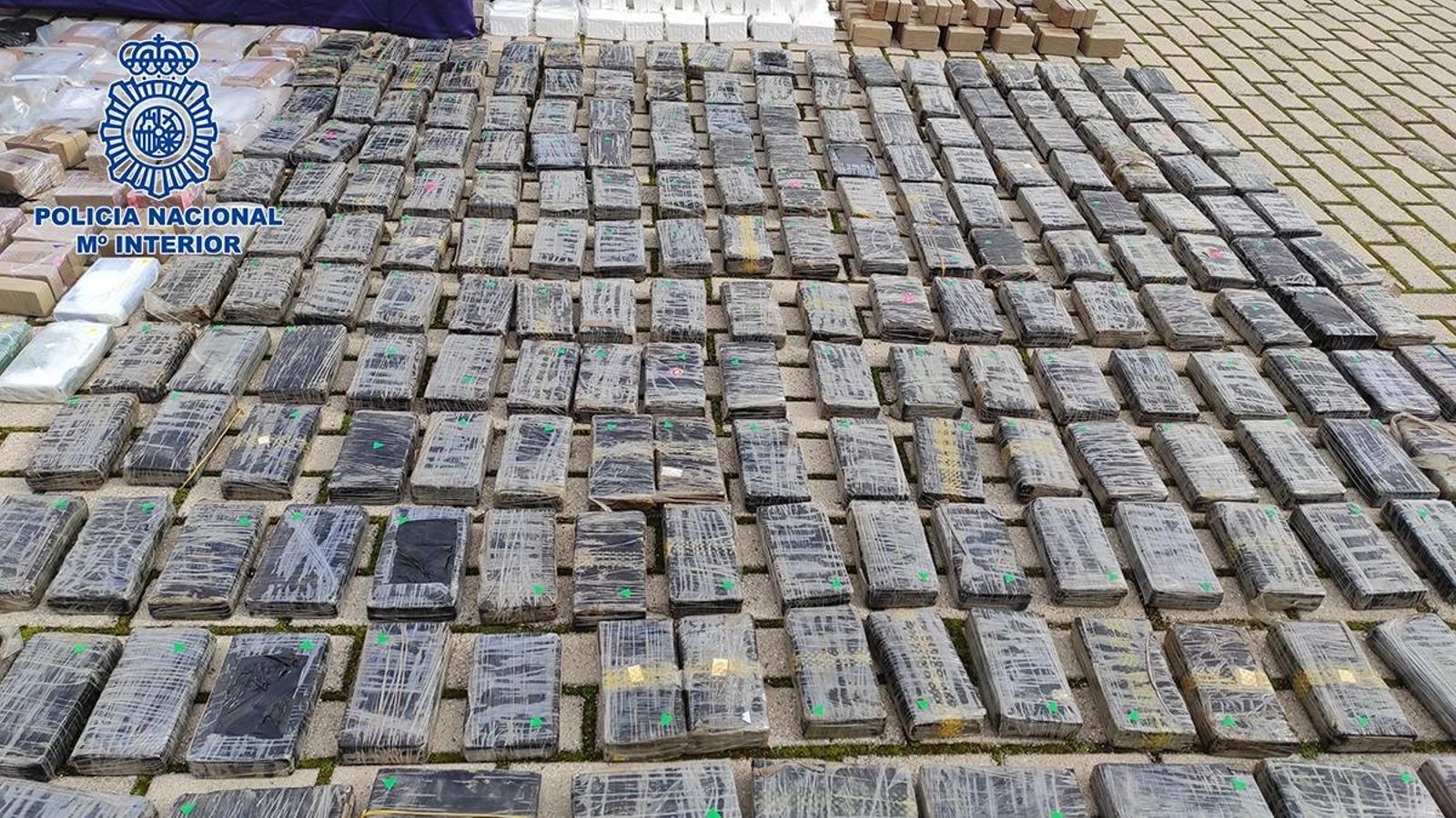 Parte de la cocaína interceptada a la trama.
