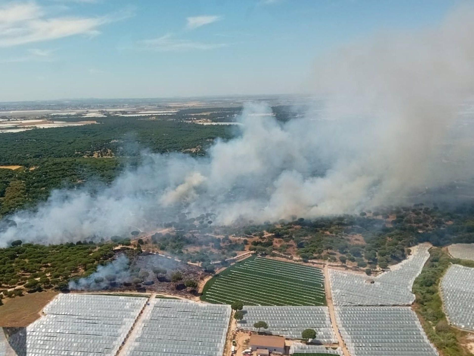 Incendio declarado en paraje Cruz del Arpa de Moguer. Incendio declarado en paraje Cruz del Arpa de Moguer.