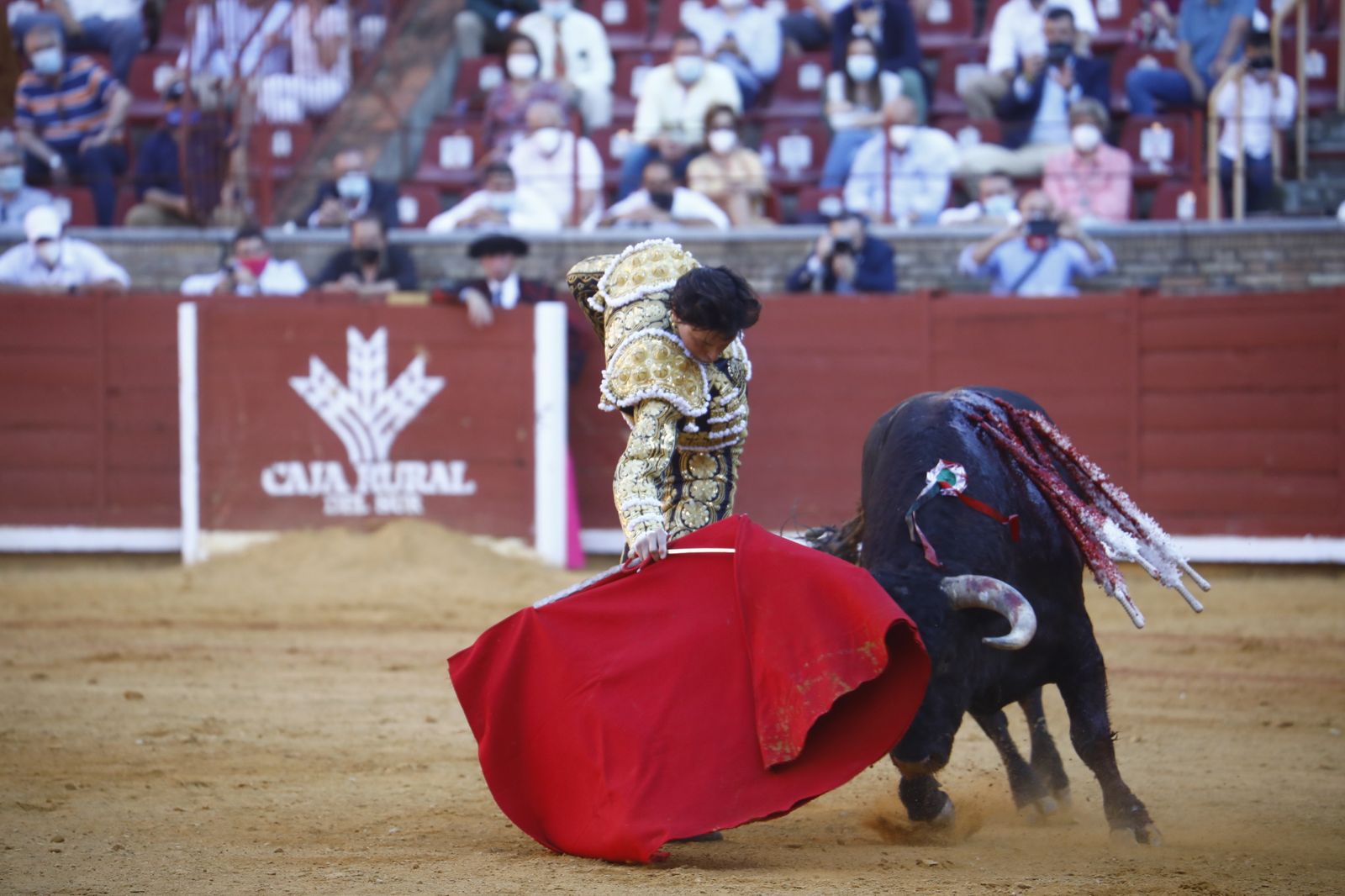 Las fotografías de la corrida mixta de la Feria Taurina de Córdoba con Roca Rey, Aguado y Ventura