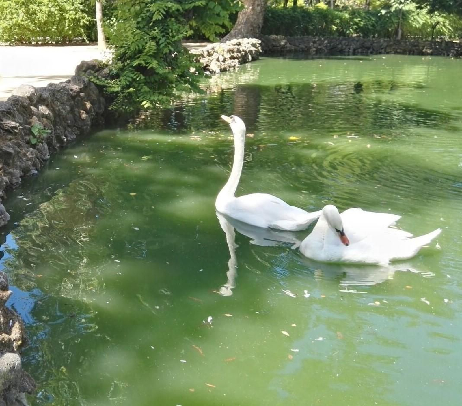 Estanque del parque de María Luisa.