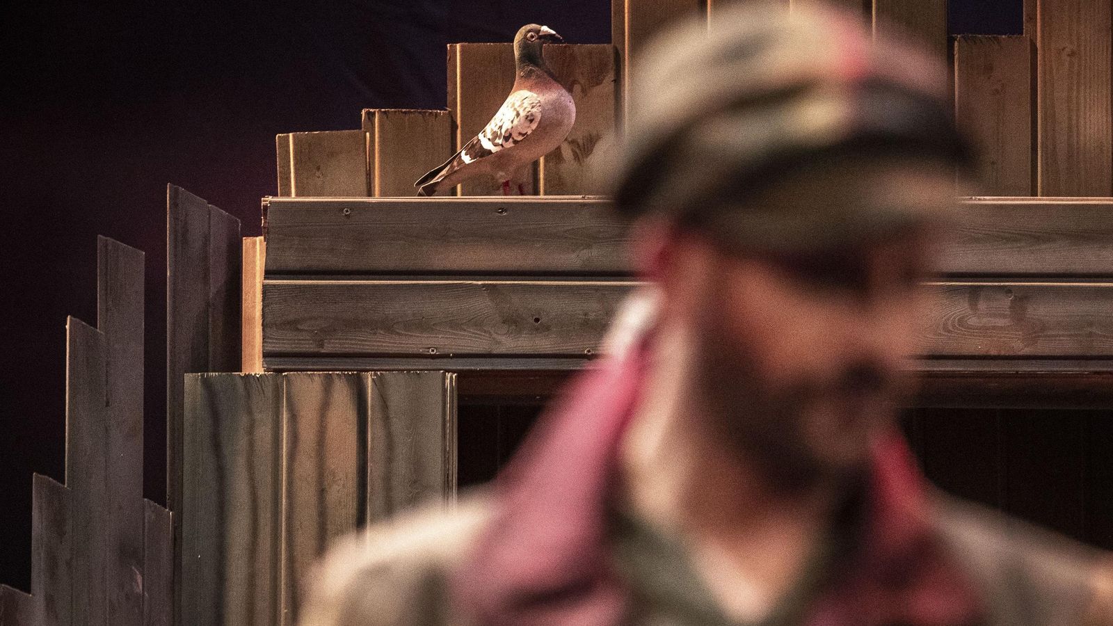 Búscate entre las mejores imágenes de la décima sesión de preliminares del COAC 2025