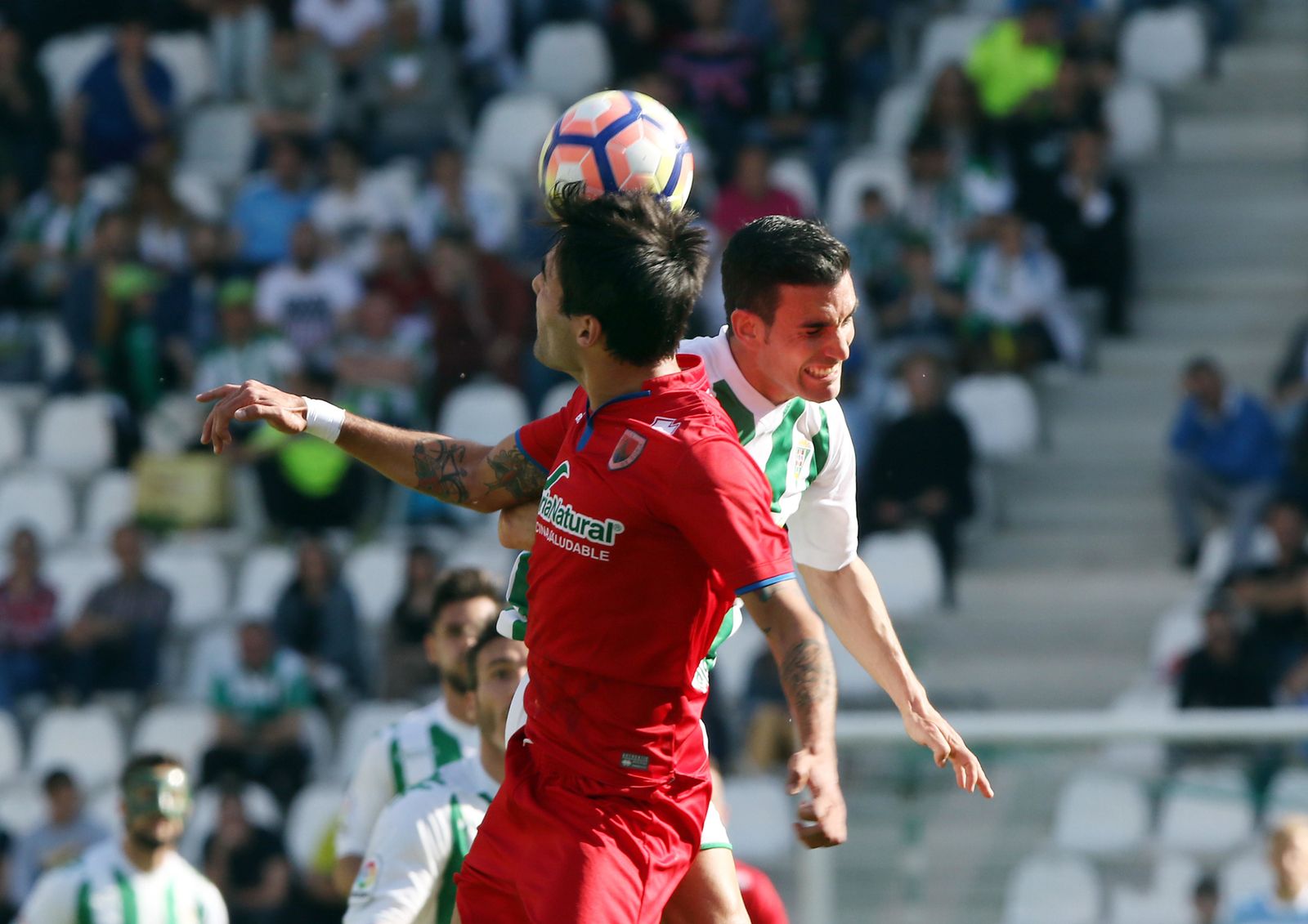El Córdoba CF-Numancia, en imágenes