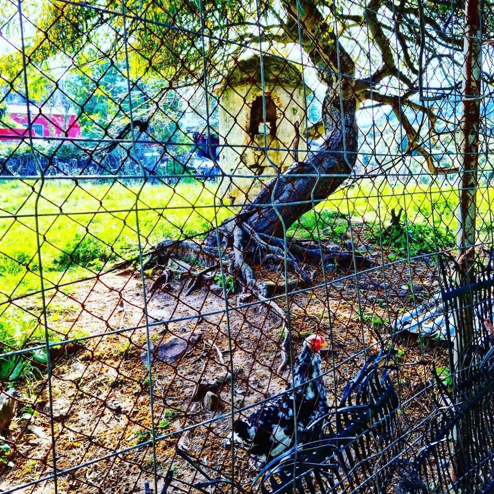 Aljibe en el río de la Miel.