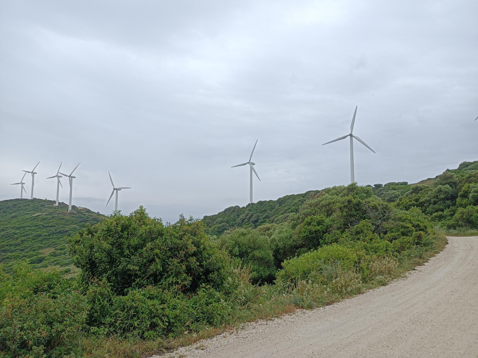 Subida al parque eólico del Puerto del Turrado