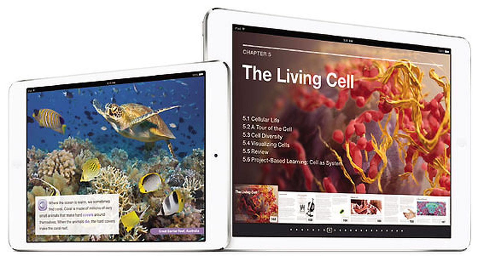 Apple amplía el acceso a contenidos educativos en todo el mundo