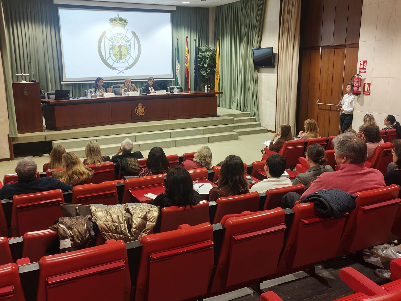 Un momento de la jornada, en el Colegio de Médicos de Sevilla.
