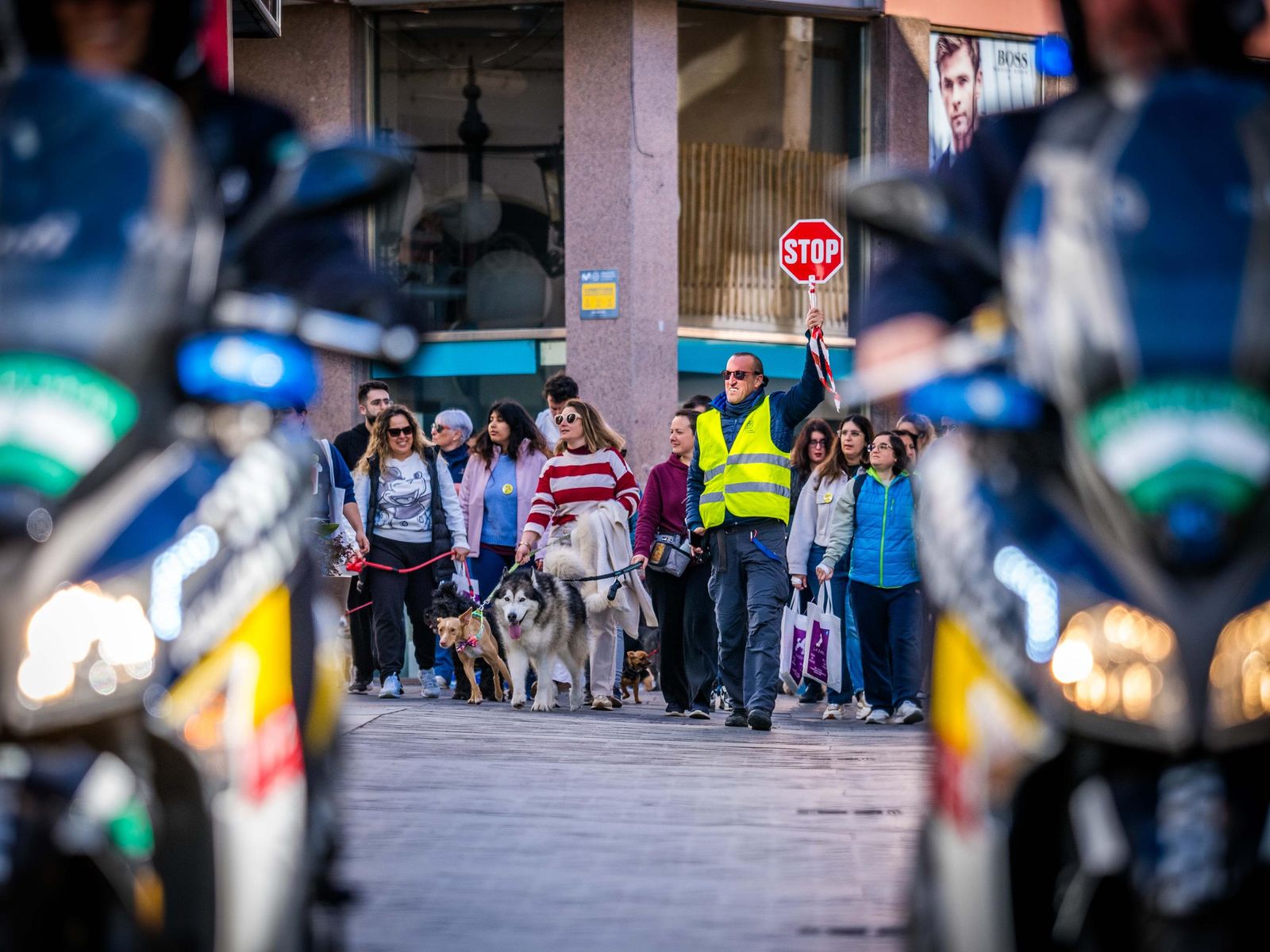 Las imágenes de San Antón 2025 en San Fernando