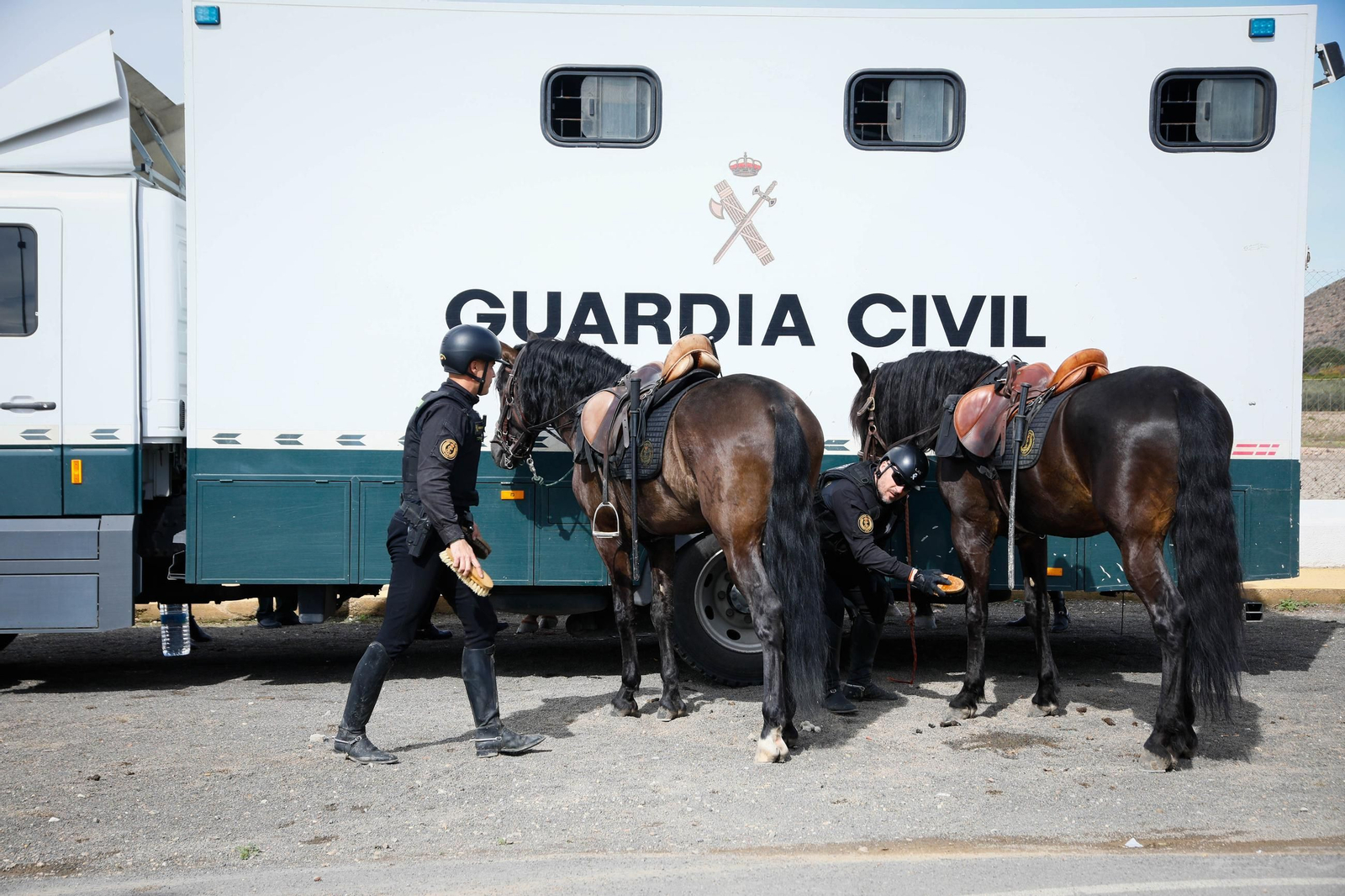 Imágenes del Escuadrón de Caballería de la Guardia Civil en Gádor.