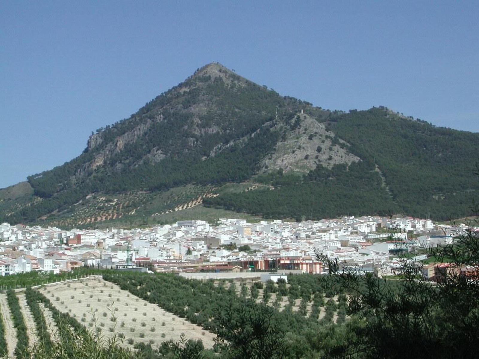 Vista general de Rute.