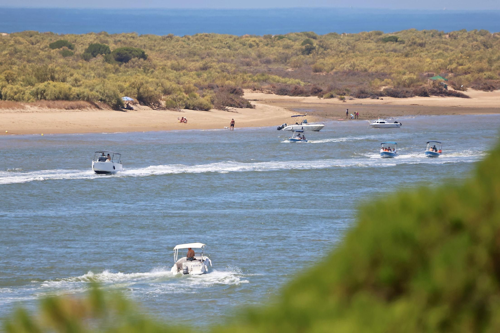 Las espectaculares vistas de la Flecha del Rompido desde el mirador de Nuevo Portil