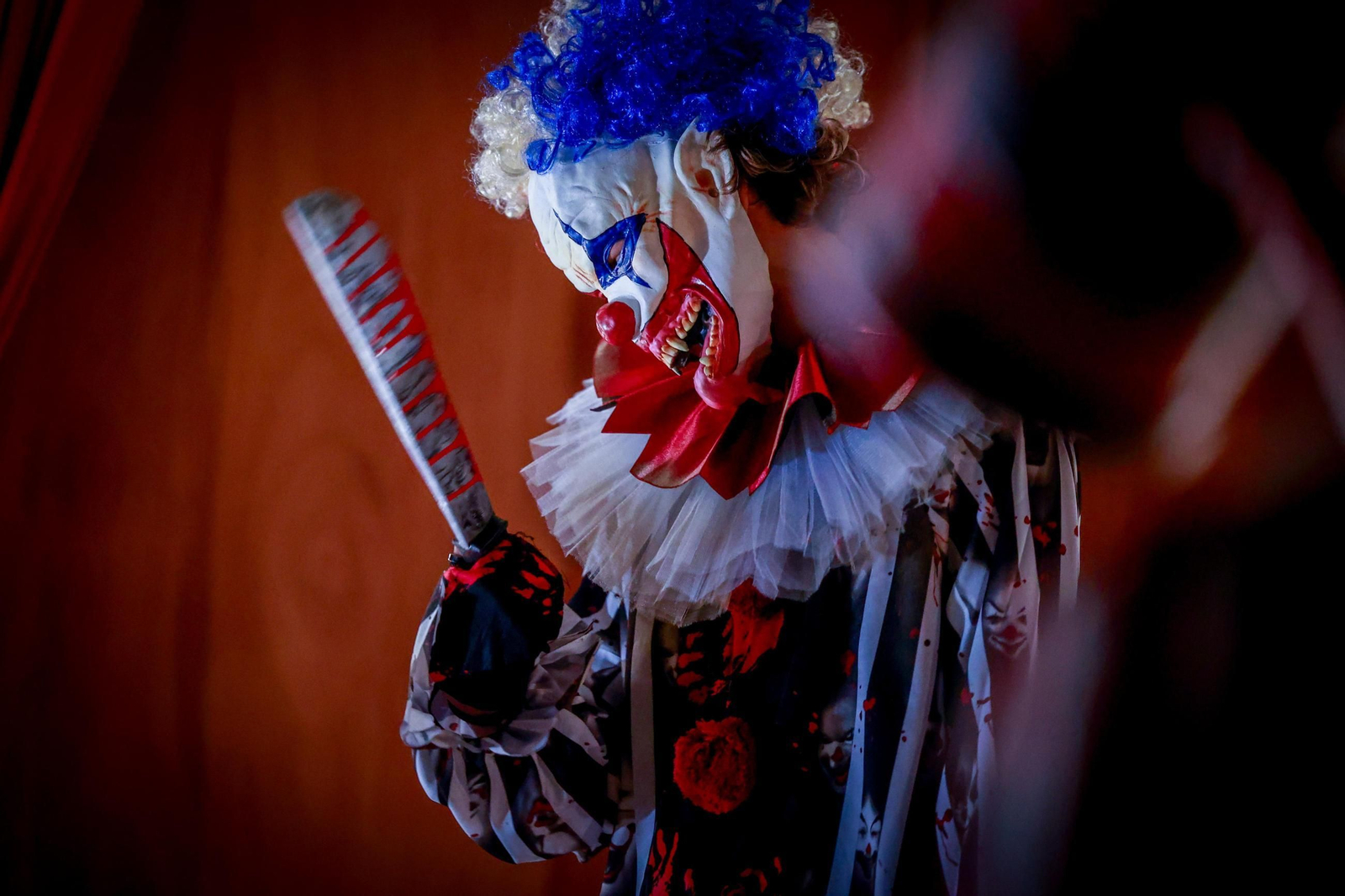 Fotogalería: Halloween empieza a dar miedo en Cádiz