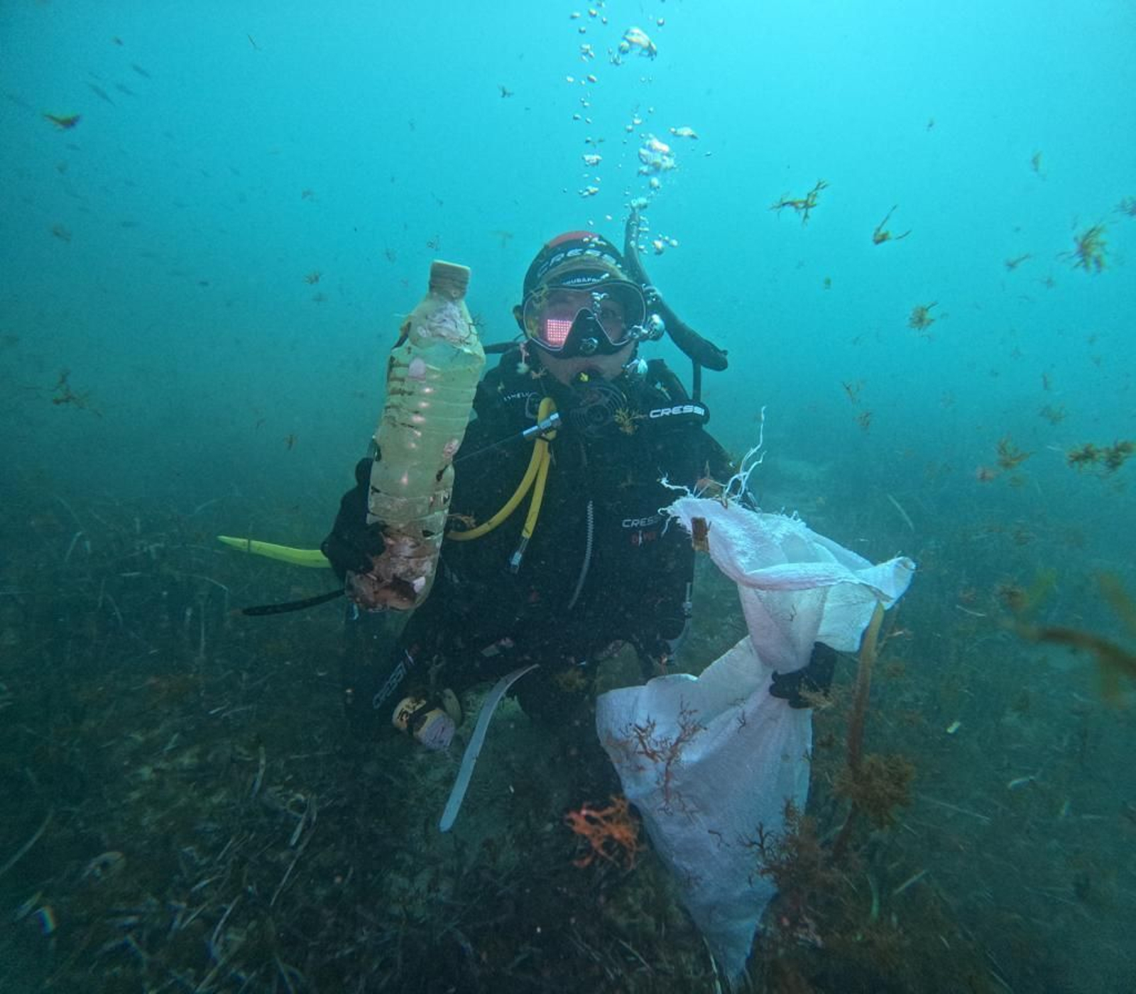 Recogen 148 kilos de basura del fondo marino del Puerto Deportivo de Aguadulce