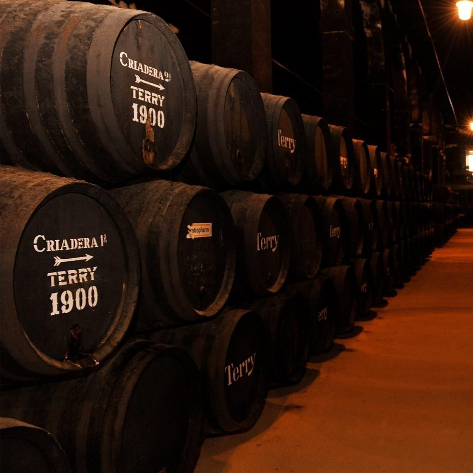 Botas de Terry 1900, Brandy Solera Reserva.