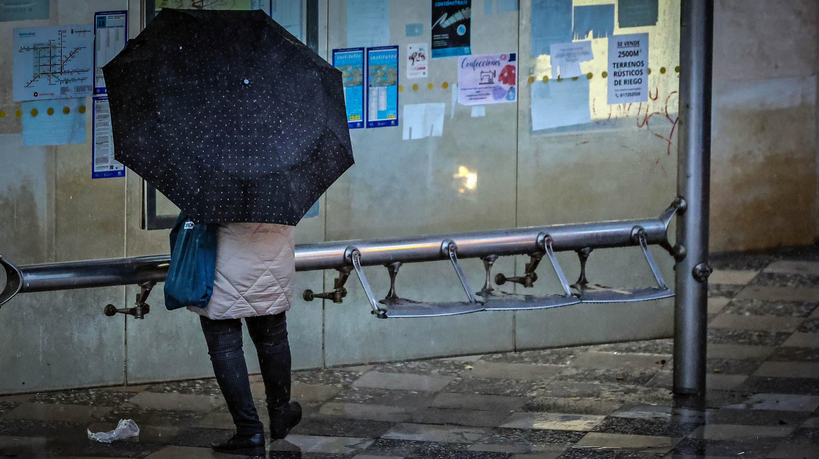 Vuelve la lluvia a Jerez