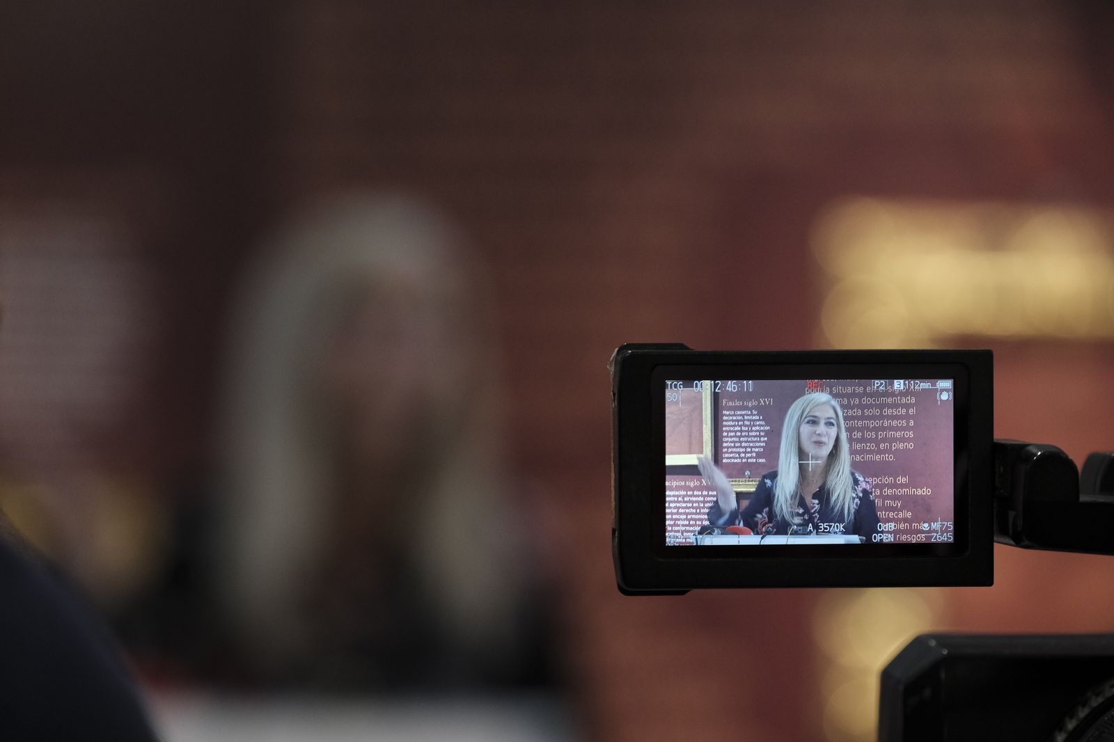 Fotogalería inauguración exposición El Marco Barroco Español. Museo de Almería.