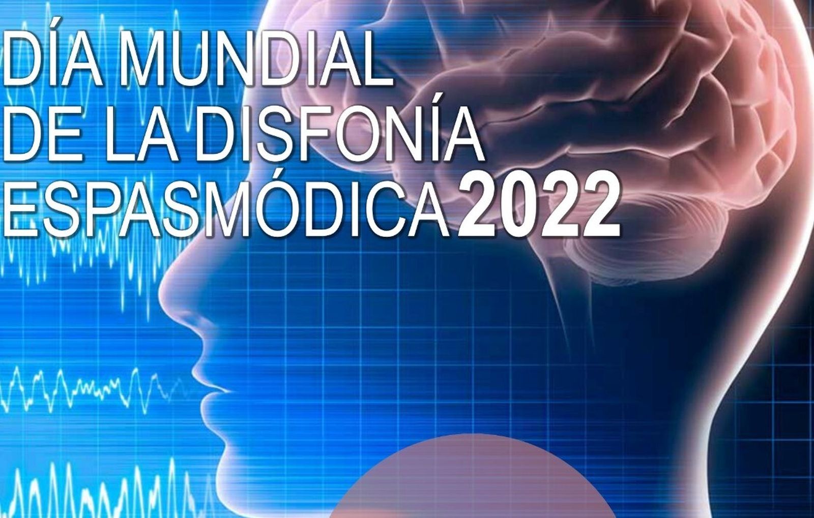 AESDE recupera sus actividades informativas tras el parón a causa de la pandemia.