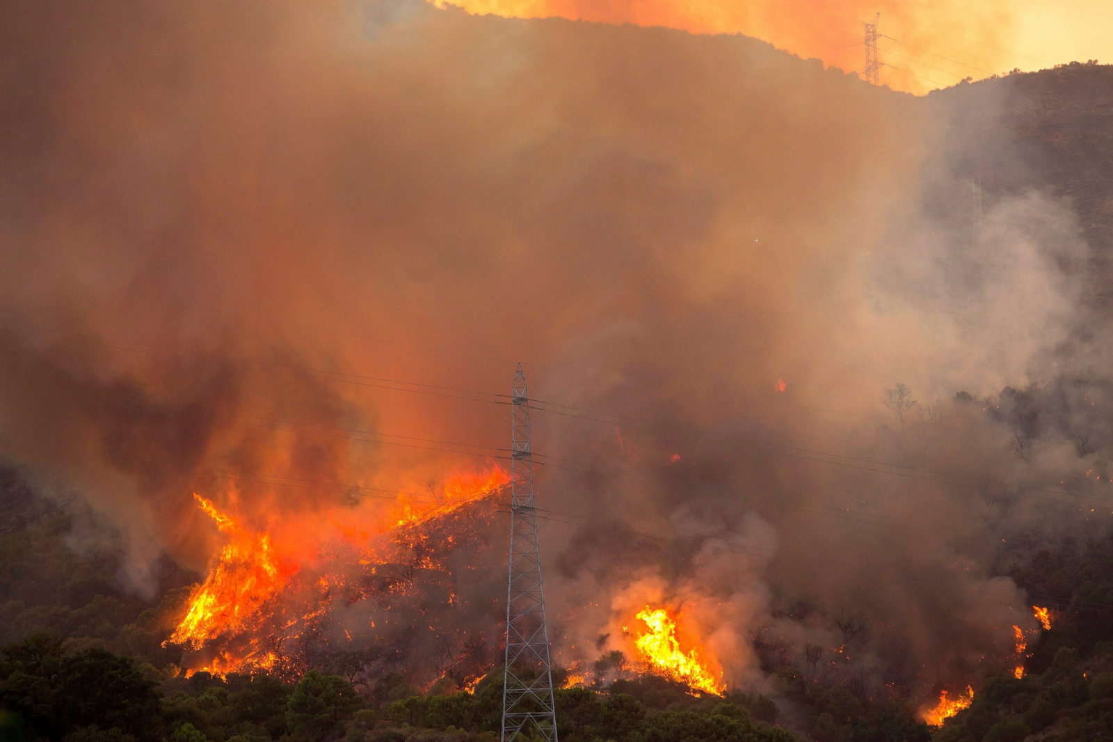 Llamas del incendio declarado en Estepona. Llamas del incendio declarado en Estepona.