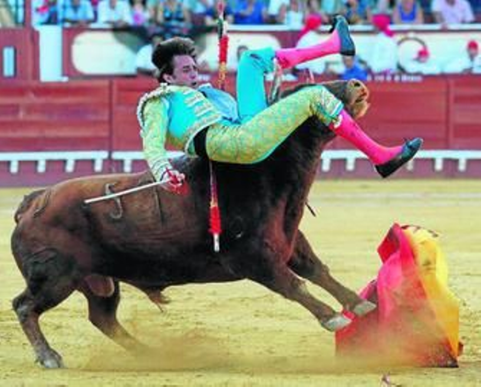 'Truculento' voltea a Alejandro Morilla marcando el signo de la labor del portuense, que se sobrepuso con raza aunque muy mermado de facultades.