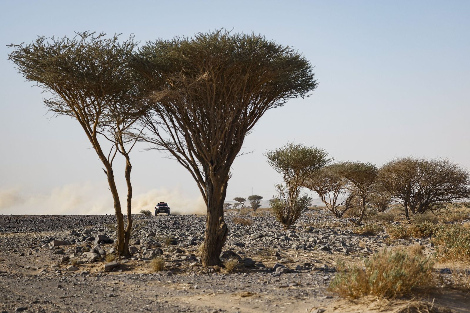 Las mejores fotos del Rally Dakar | Novena etapa