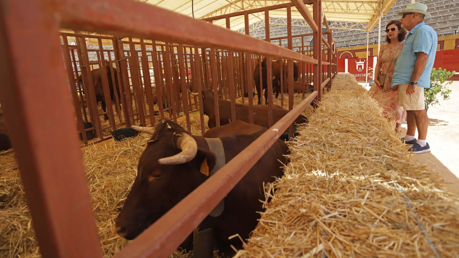 Fotos de la inauguración de la 171 Feria del Ganado de Algeciras