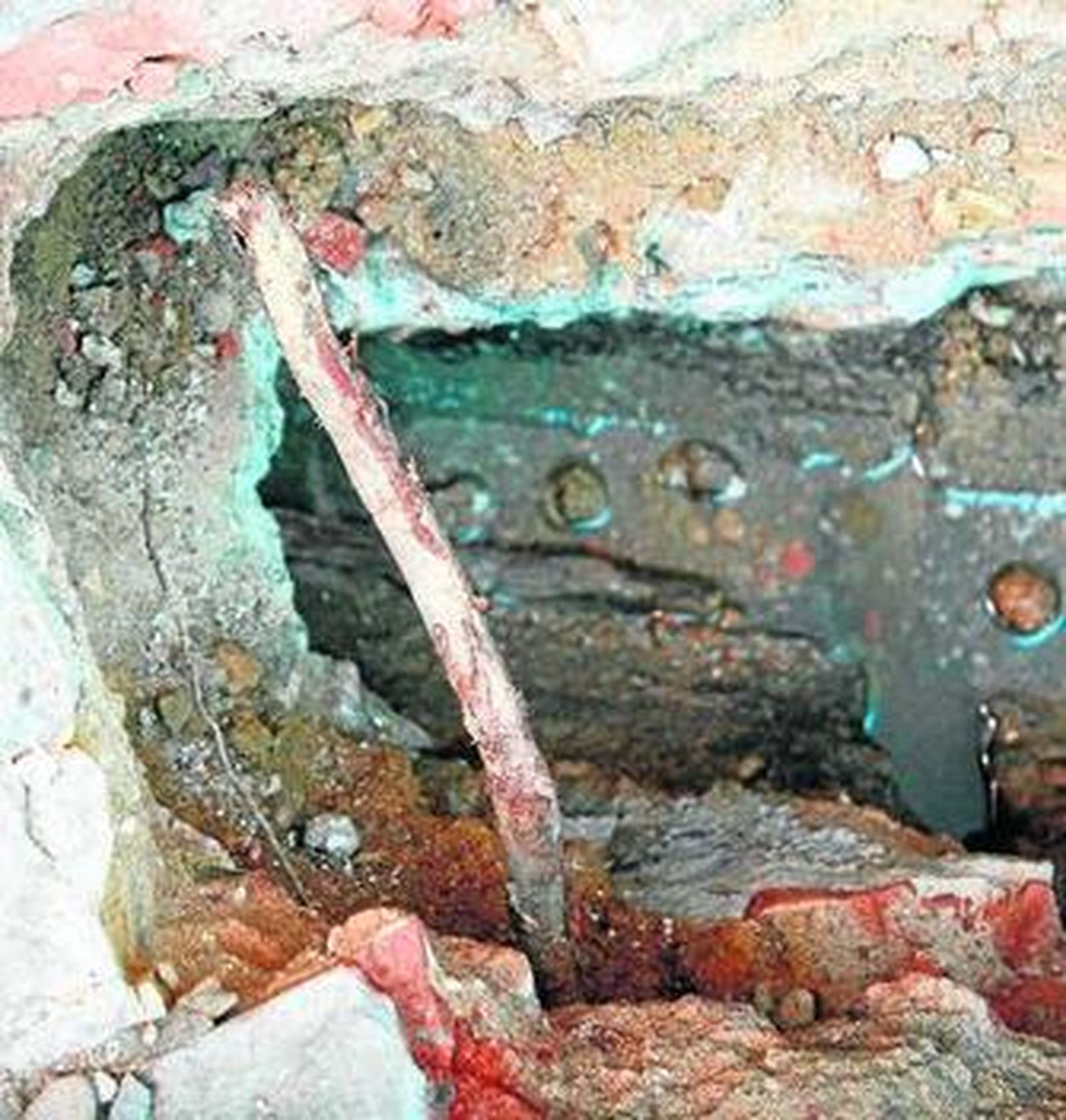 Una de las raíces que apareció al abrir el suelo del patio.