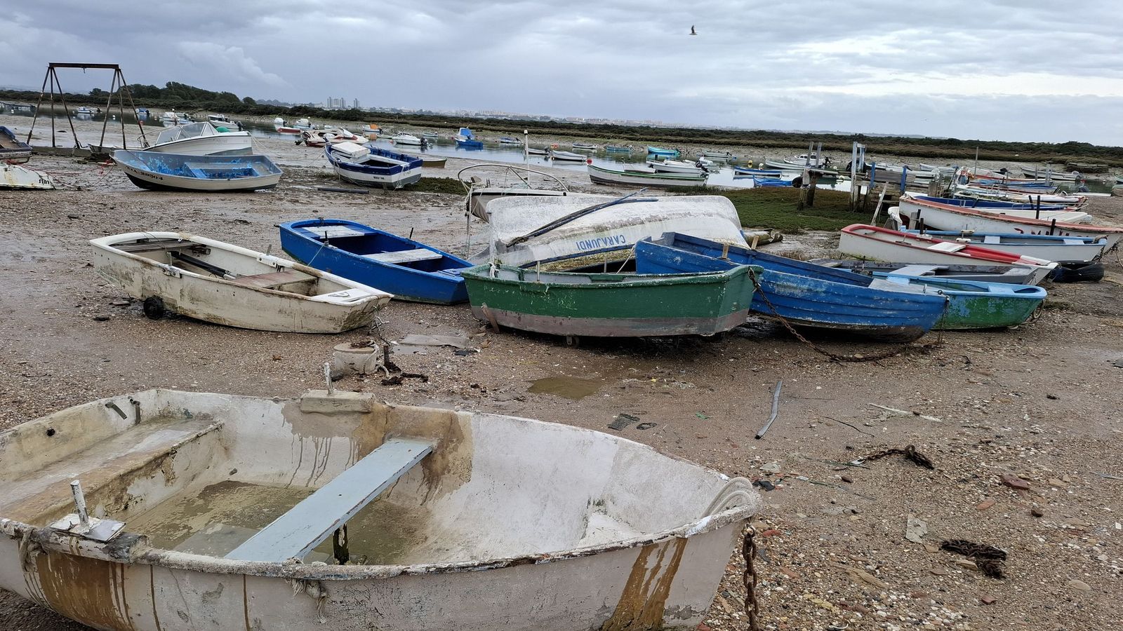 Isla del Trocadero de Puerto Real (13)