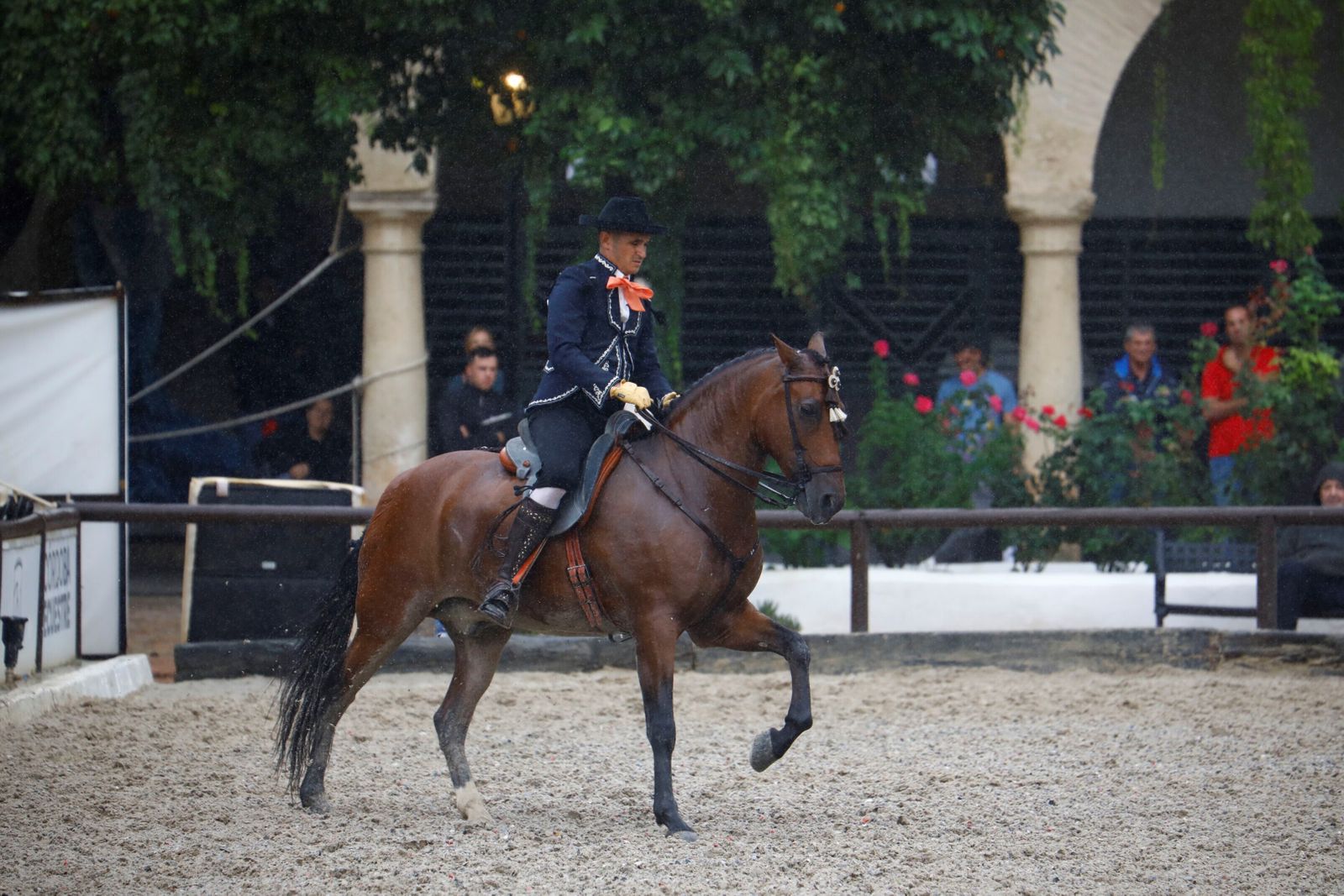 La celebración de la VI Copa de España de Alta Escuela en Córdoba, en imágenes