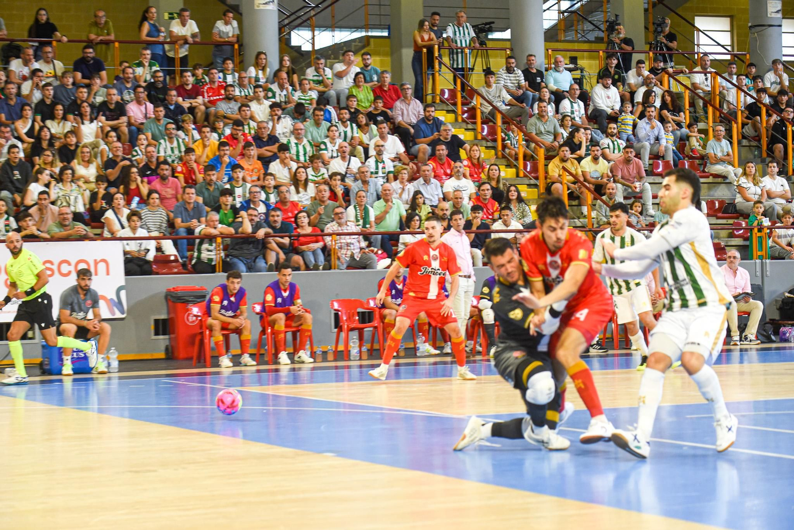 Las mejores fotos del ambiente en Vista Alegre para el Córdoba Futsal - Jimbee Cartagena