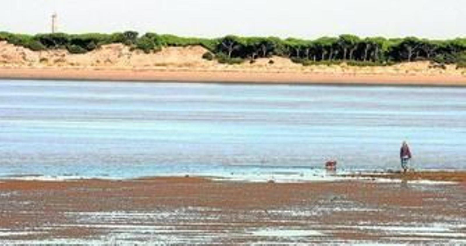 Varapalo de la Junta y del Consejo de Doñana al dragado del Guadalquivir