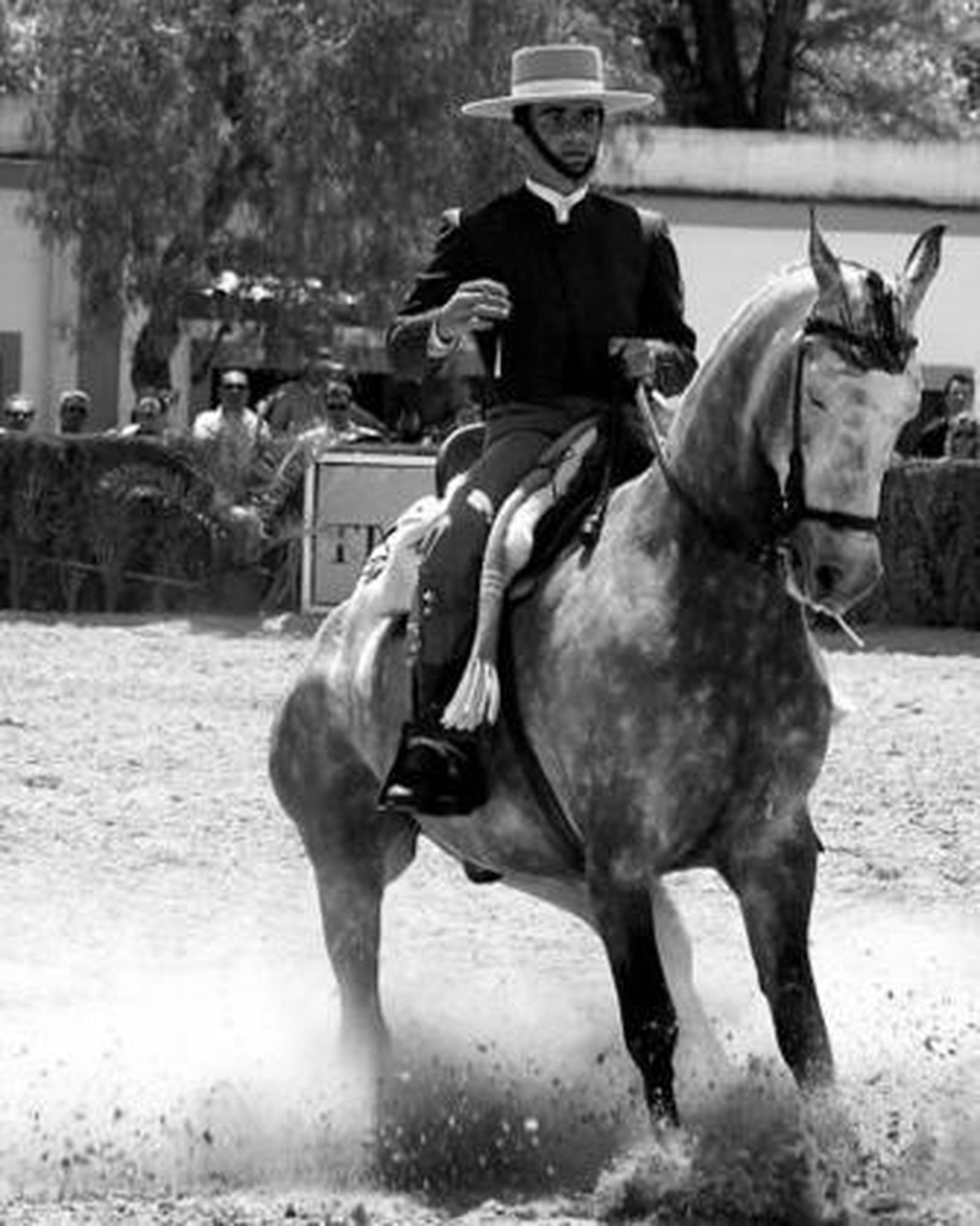 Fuerza y brío sobre la arena del Depósito de Sementales, ayer.