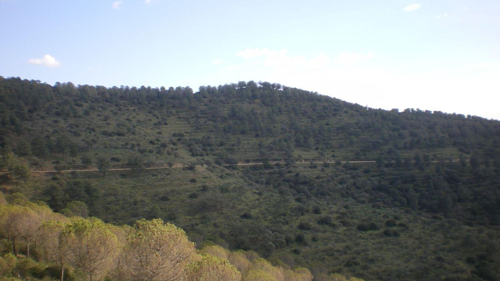 Paisaje de Chortal Palanco.