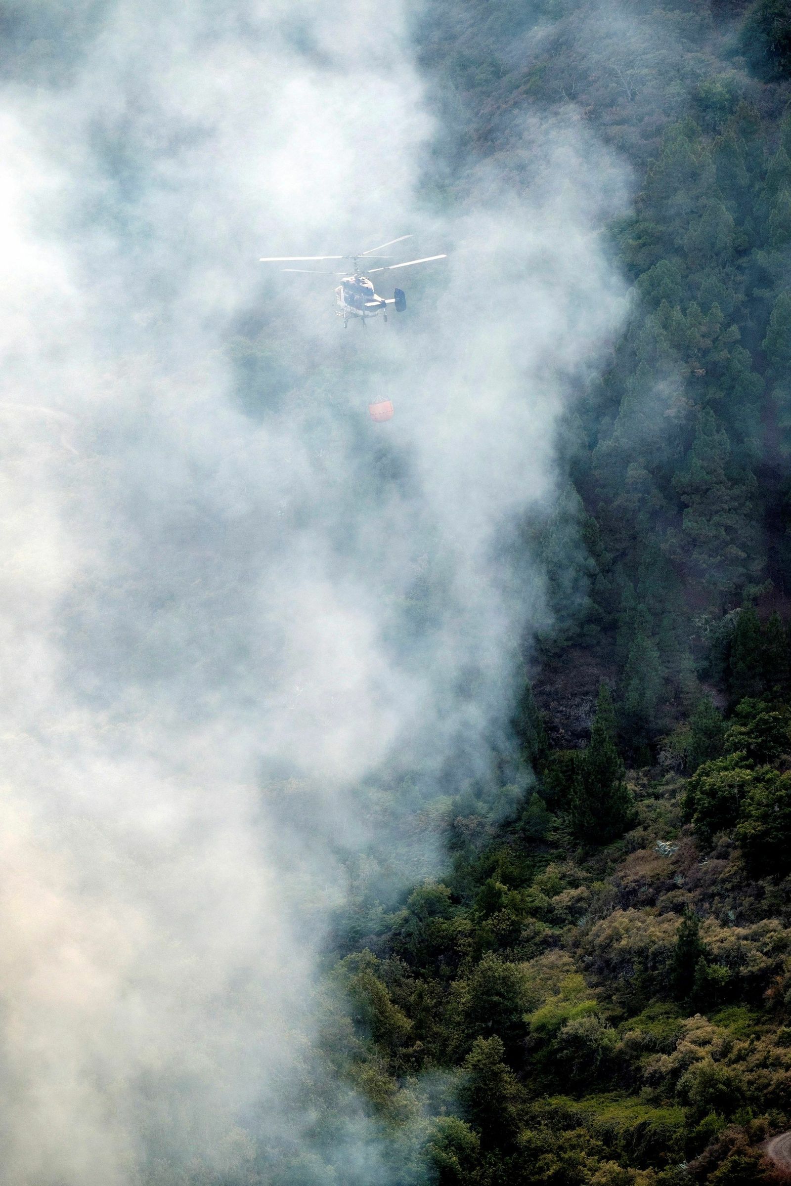 Las imágenes del incendio forestal en Gran Canaria.