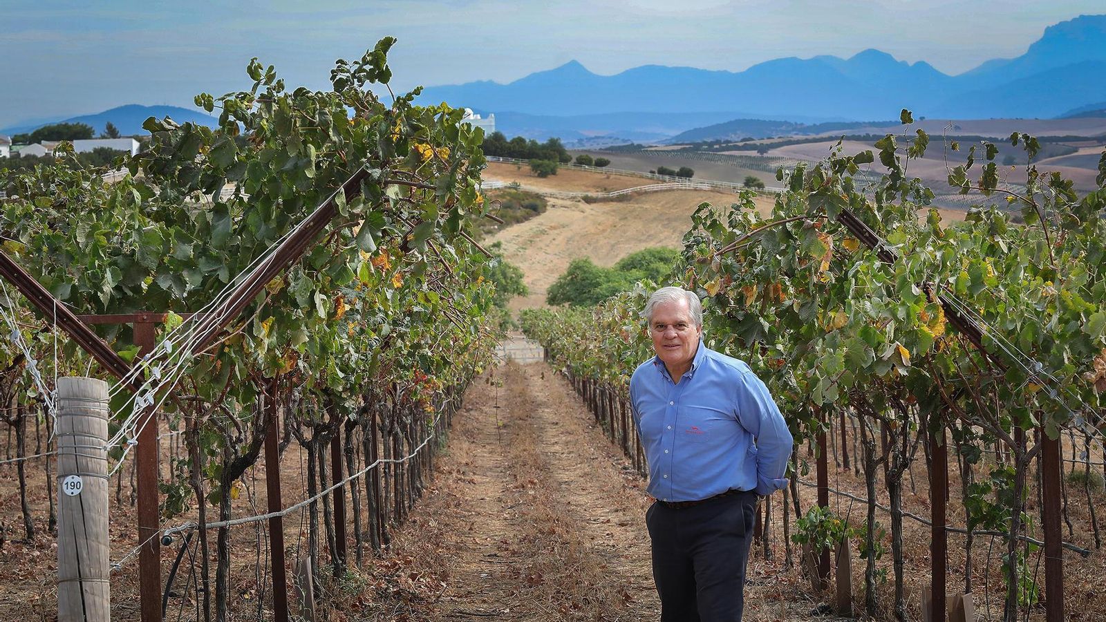 El ejecutivo británico metido a bodeguero en el viñedo de Tesalia, ubicado a las faldas de la Sierra de Grazalema. El ejecutivo británico metido a bodeguero en el viñedo de Tesalia, ubicado a las faldas de la Sierra de Grazalema.