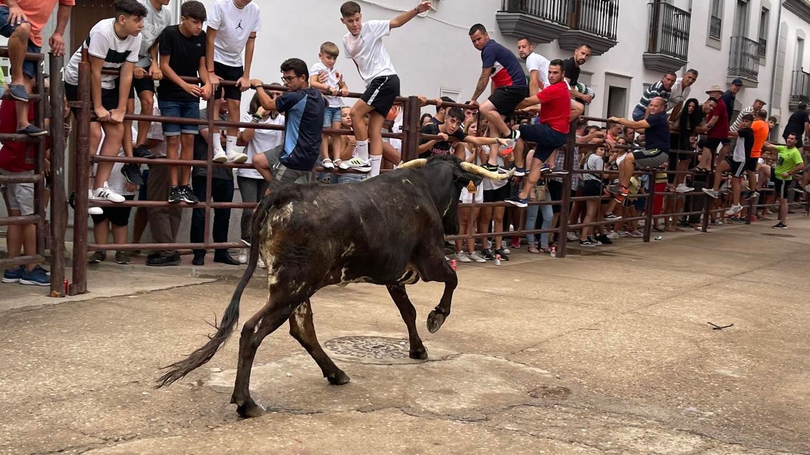 El encierro taurino de Dos Torres por San Roque, en imágenes