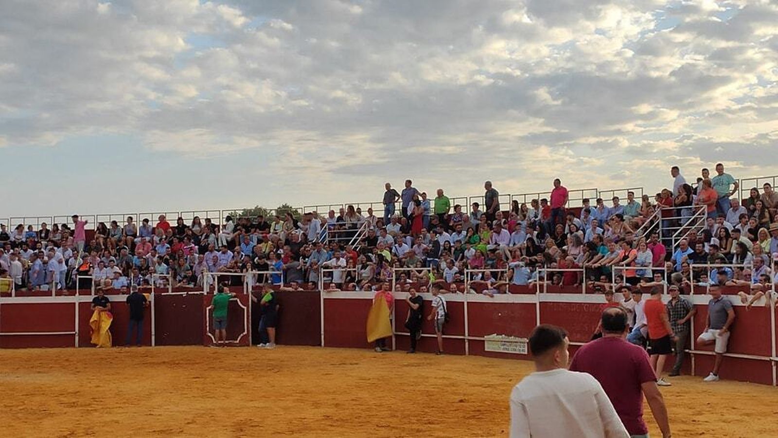 Villa del Río recupera la suelta de vaquillas, en imágenes