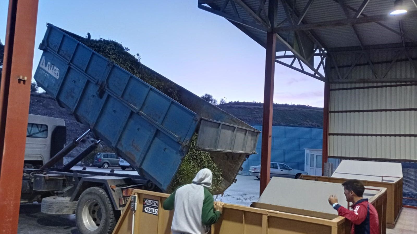 Obtención de aceite en una cooperativa de Baena.