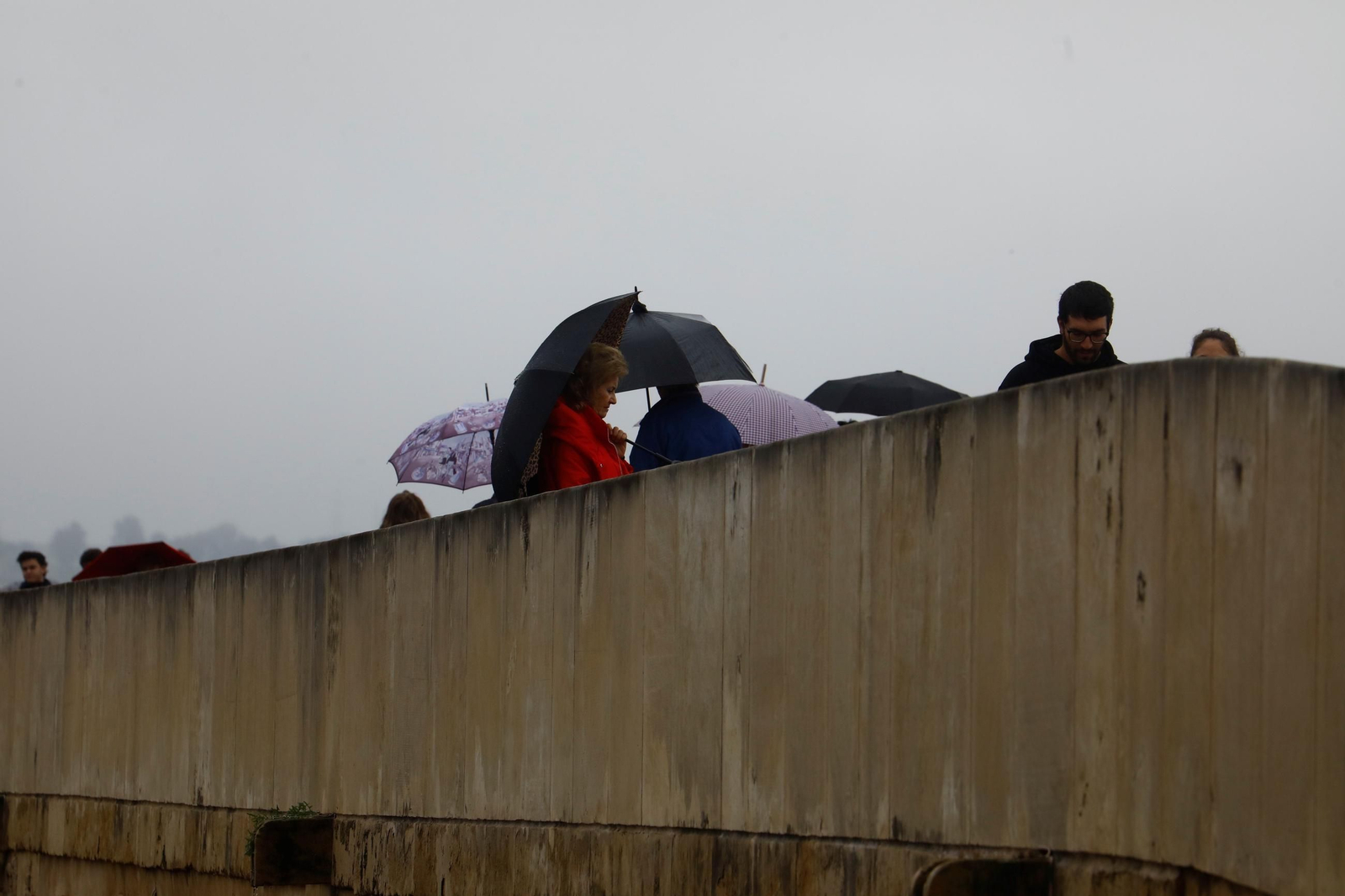El paso de la borrasca Herminia por Córdoba, en imágenes