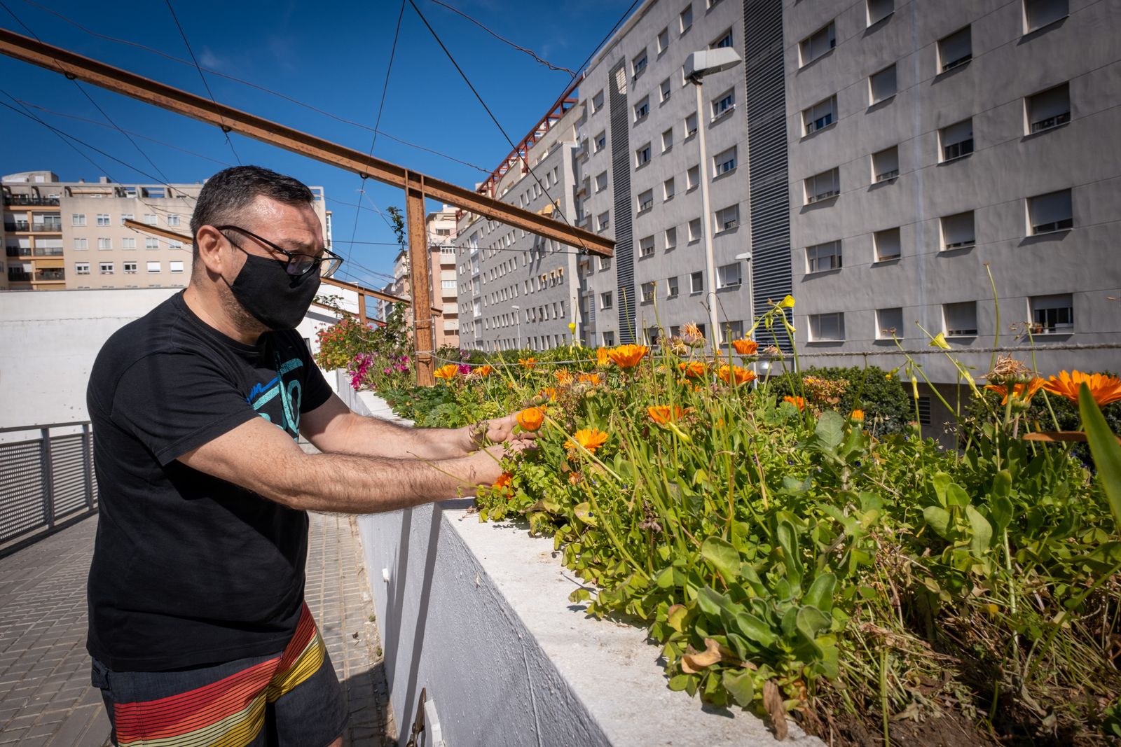 El huerto urbano de la AVV Astilleros sobre la guardería Josefina Fornell.