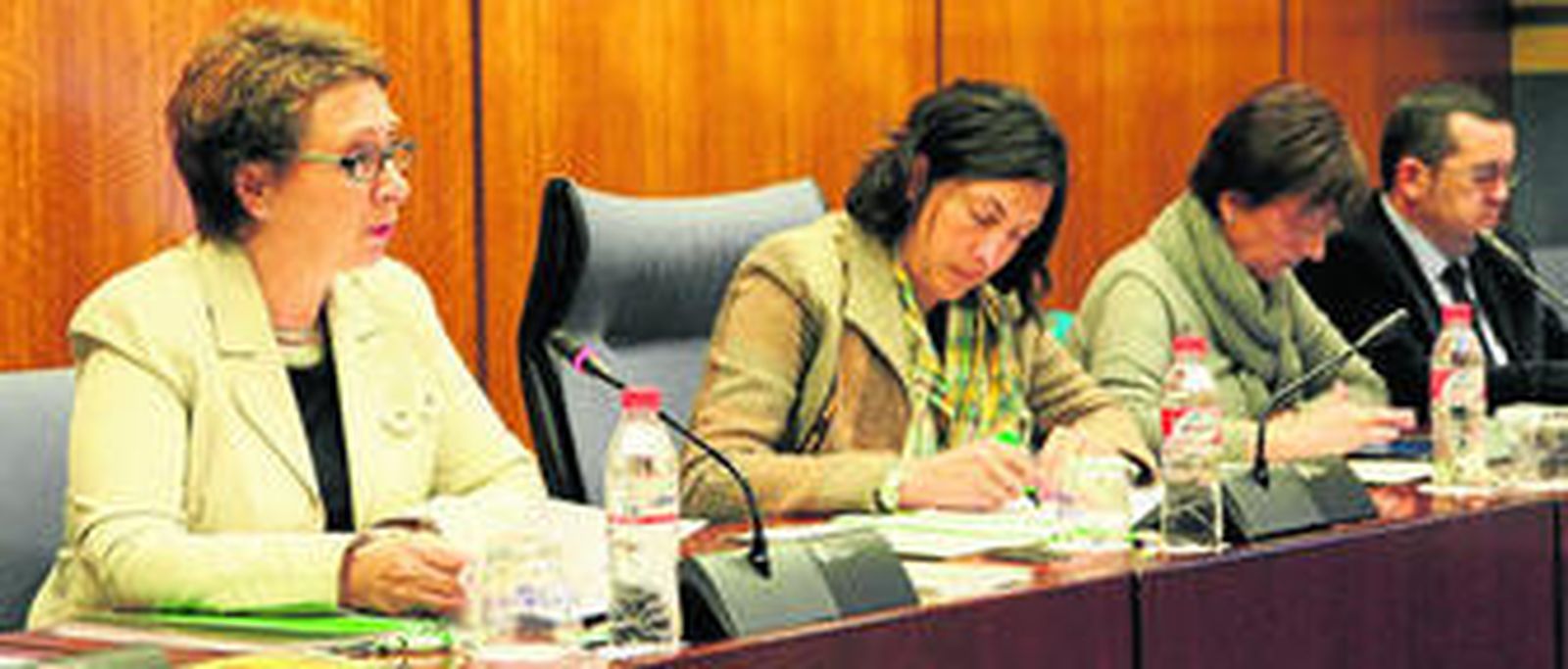 Carmen Martínez Aguayo ayer en su intervención en comisión parlamentaria.