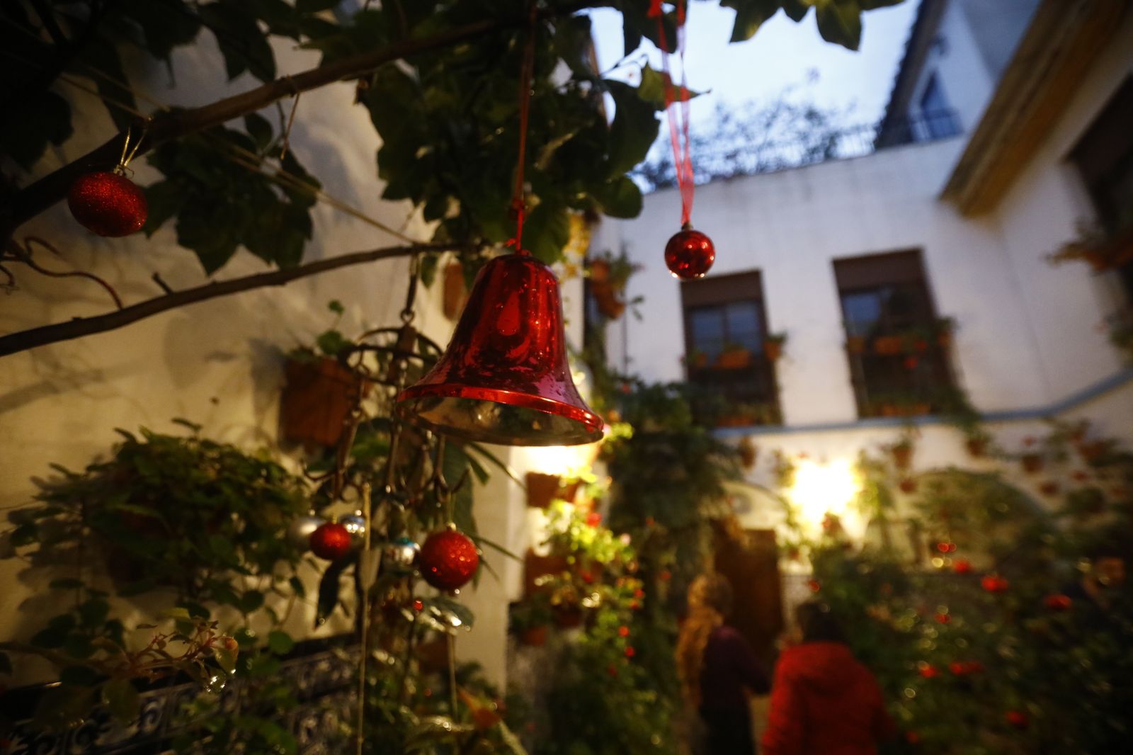 Los Patios de Córdoba abren por Navidad, en imágenes