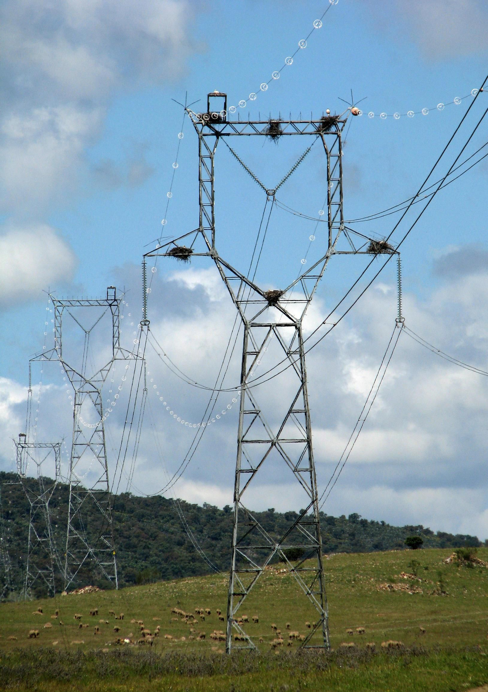 Líneas  eléctricas en el campo.