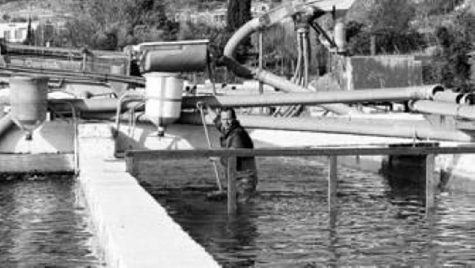 El doctorado deberá realizar las labores propias de una piscifactoría.