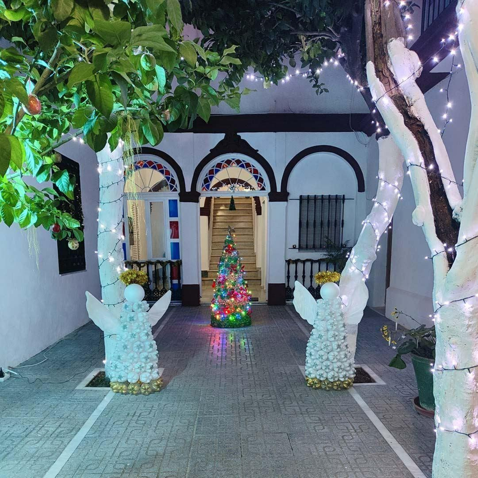 1º PREMIO: Mº Mar Aragón Rodríguez (C/ Sagasta, 50  1º C)