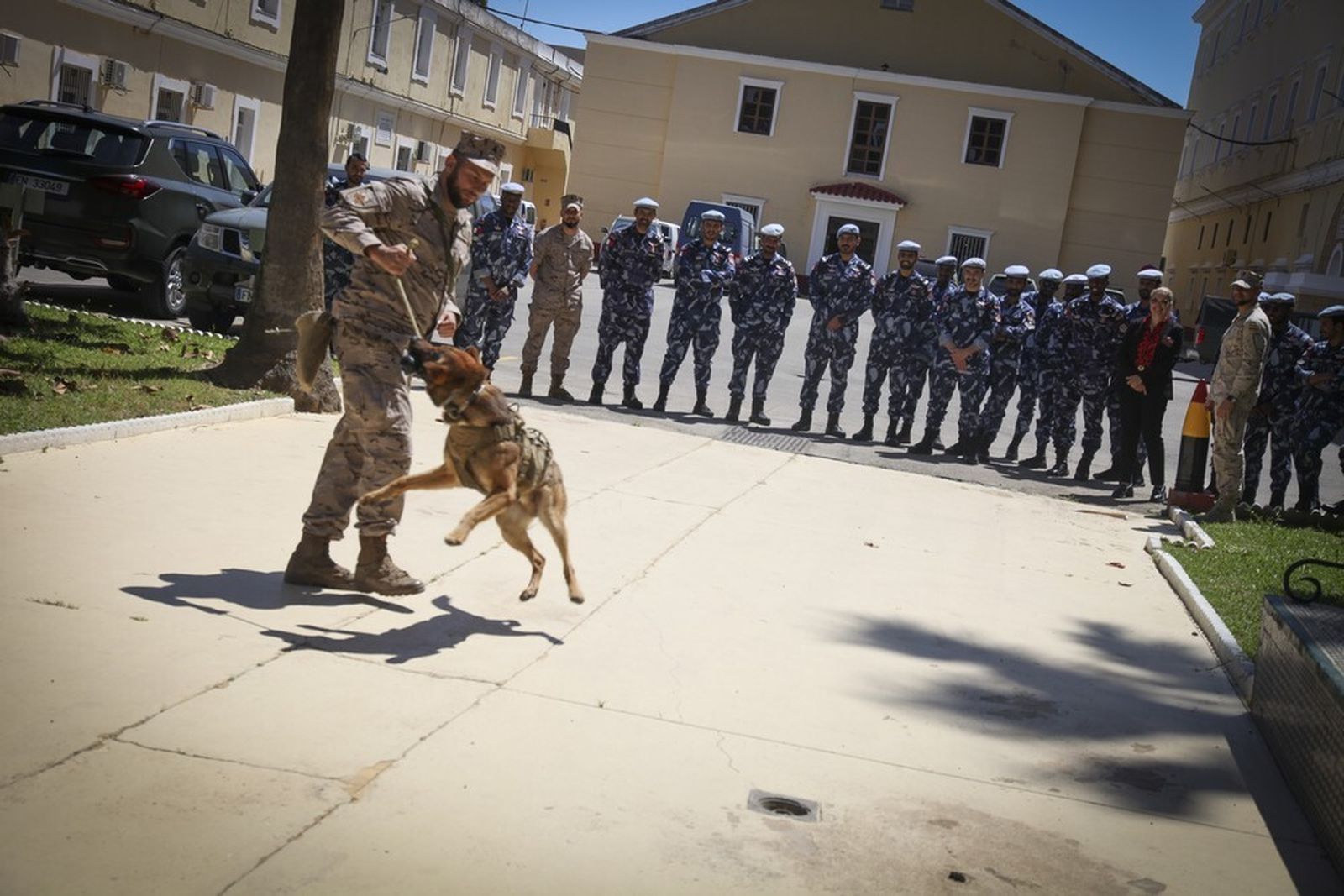Un momento del adiestramiento