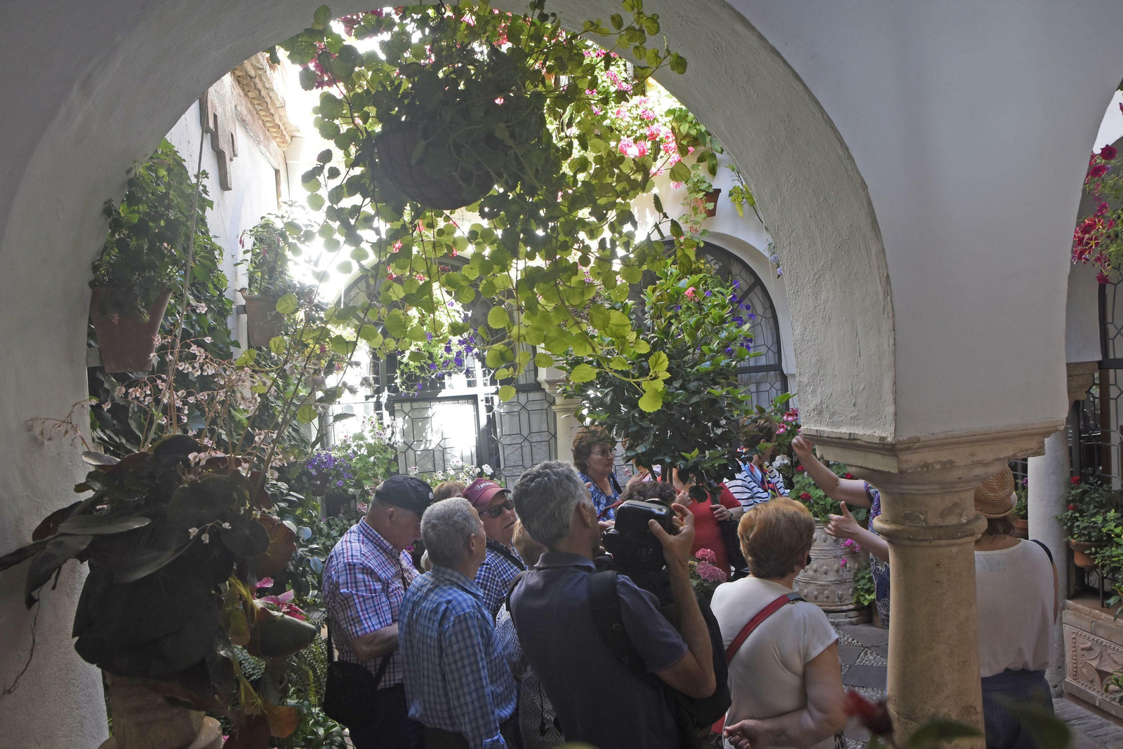 En imágenes: la ruta de los Patios del Alcázar Viejo