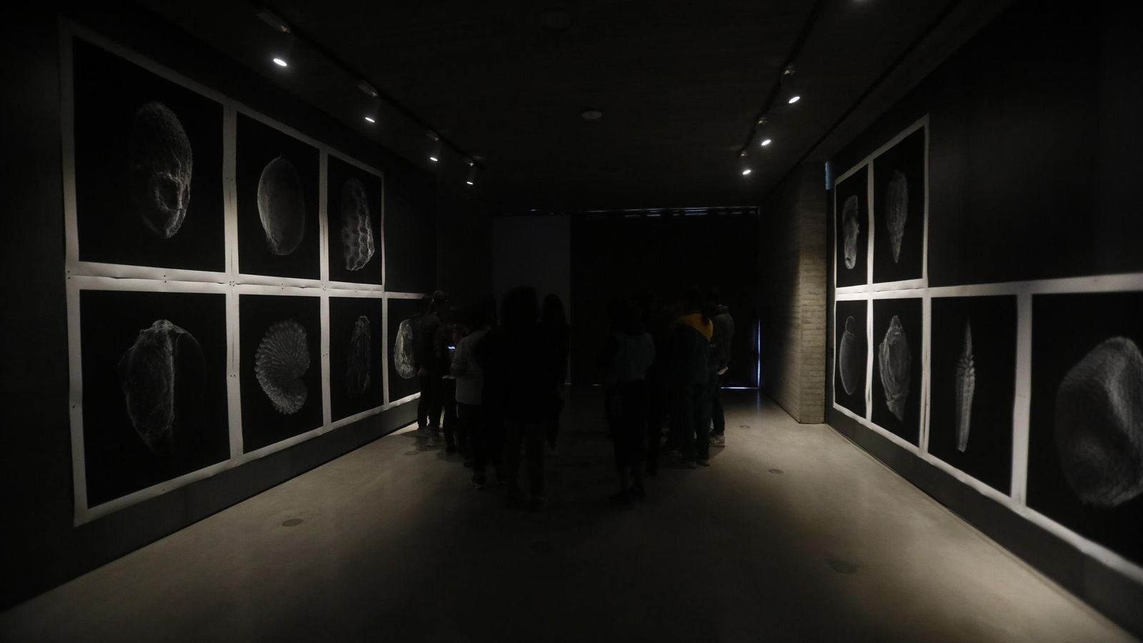 Obra del C3A, Ruibal